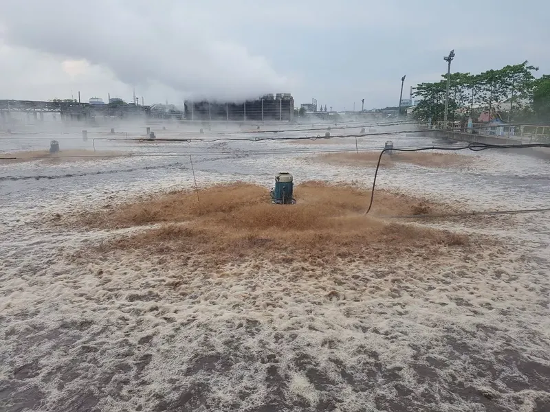 Stainless floating surface aerator in operation on a treatment basin